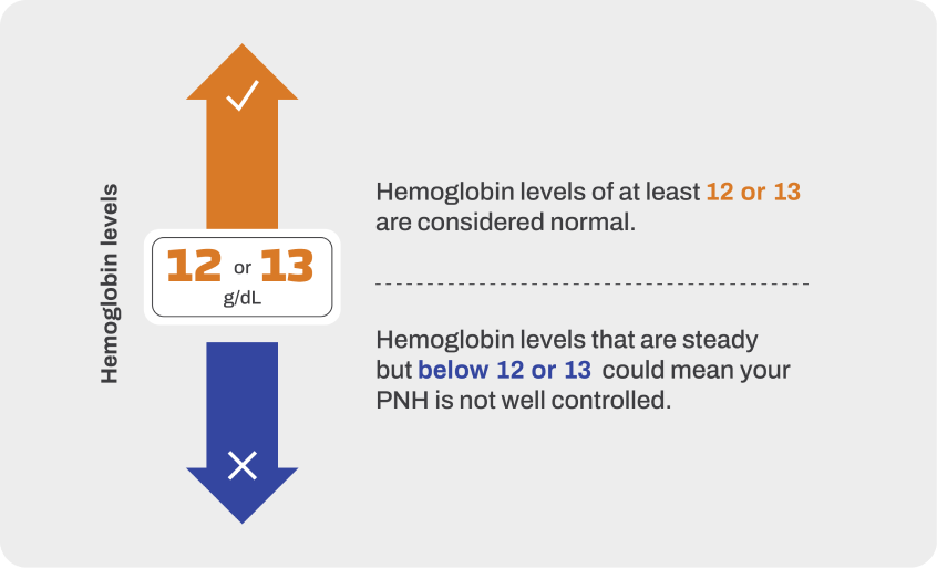 Hemoglobin levels of at least 12 to 13 are considered normal. Hemoglobin levels that are steady but below 12 mean your PNH is not as controlled as it could be.