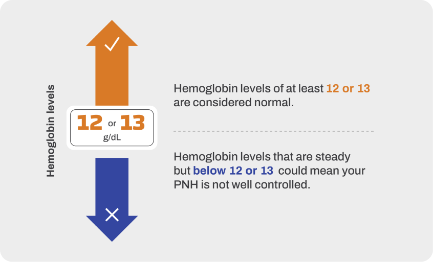 Understanding Paroxysmal Nocturnal Hemoglobinuria Understanding Paroxysmal Nocturnal Hemoglobinuria