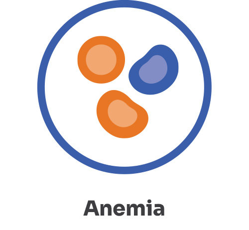 Anemia