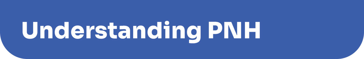 Understanding PNH